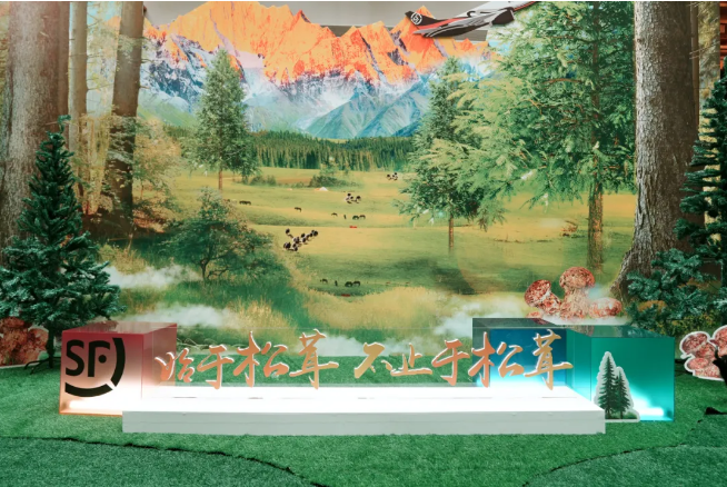 1720150907322914.png